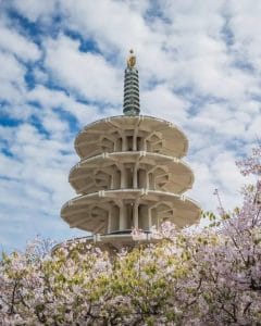Cherry Blossom Festival dancers in SF Japantown. Things to do in San Francisco this week