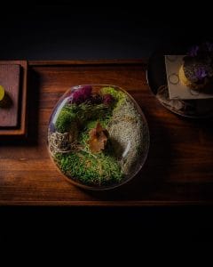 10 Michelin Restaurants