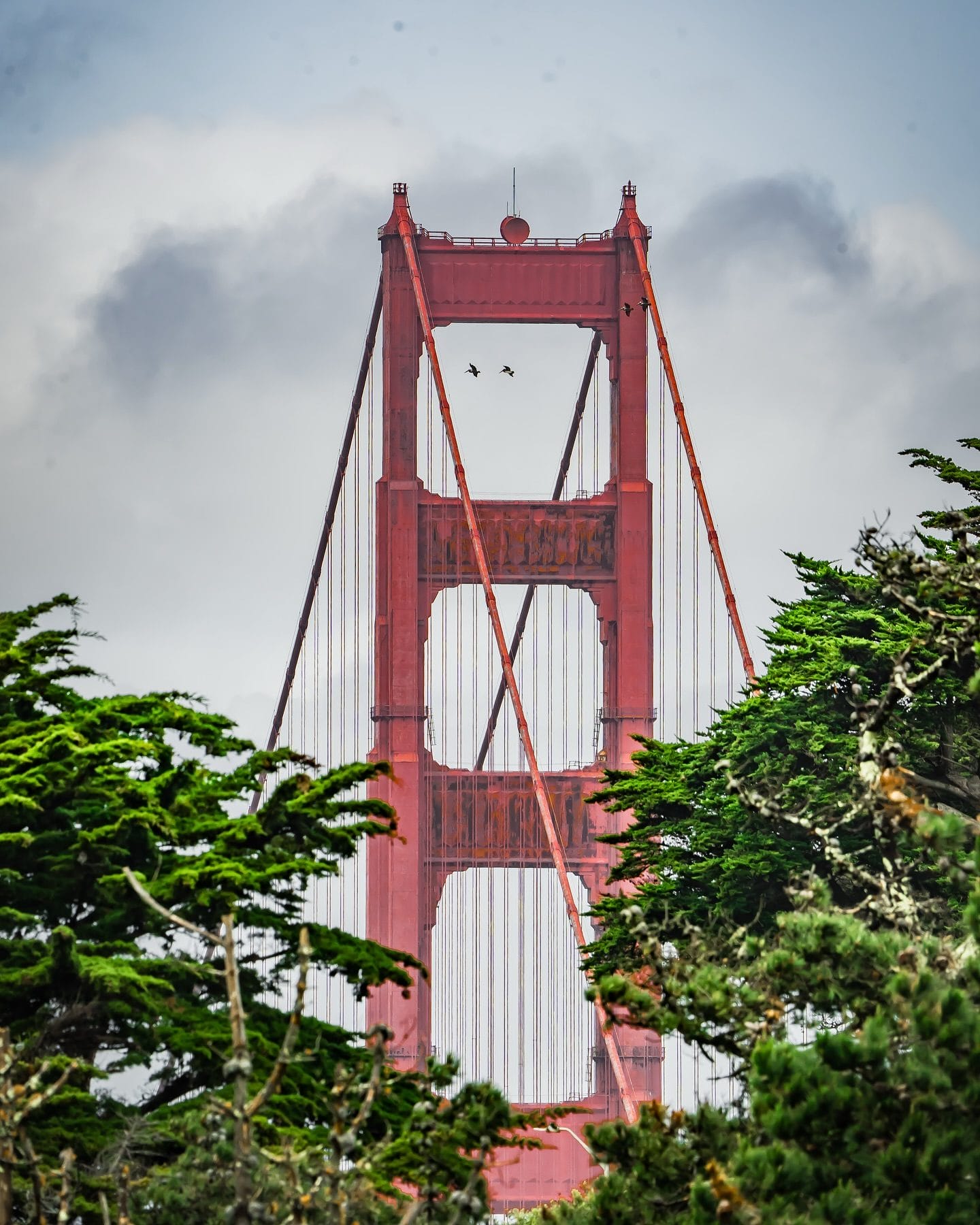Father’s Day in San Francisco