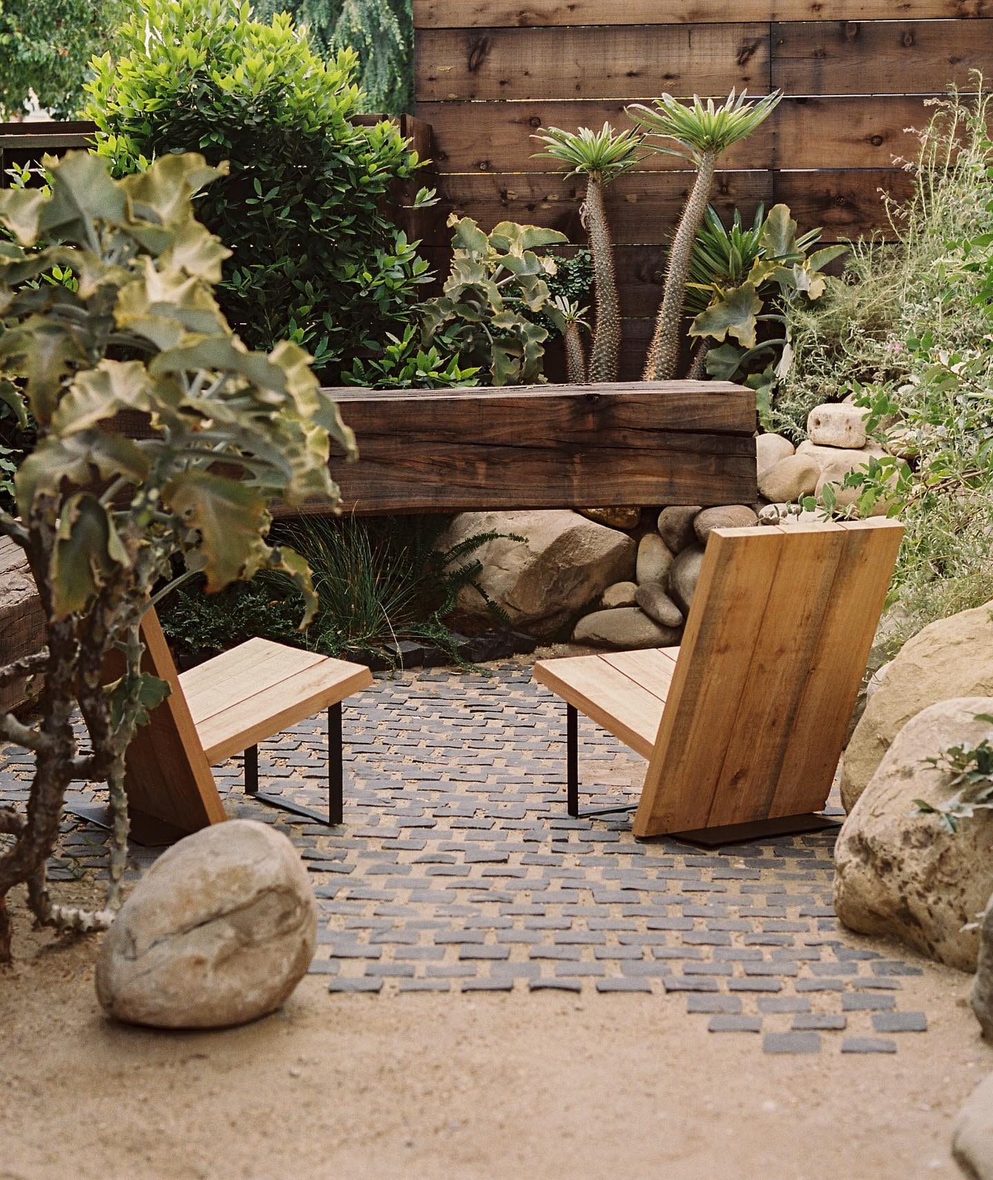 Cultivating Resilience: Reimagining Urban Landscapes