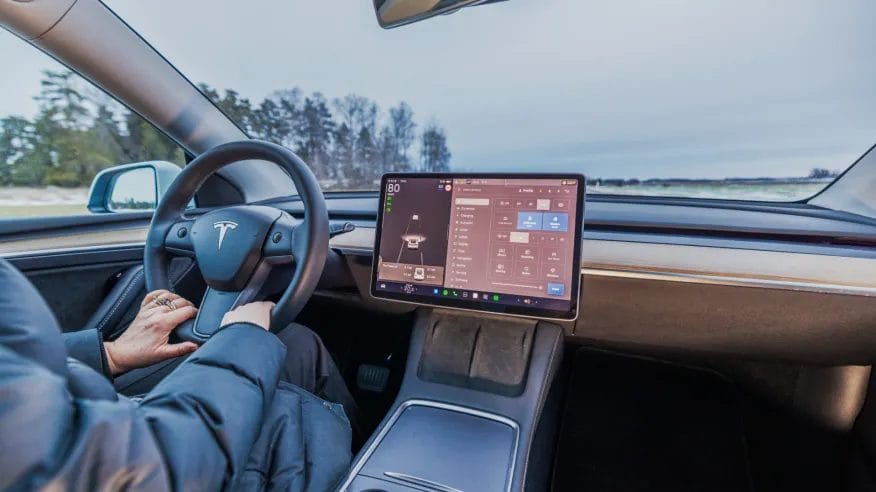 Human Driver