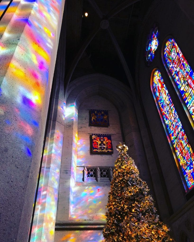 World Tree of Hope, San Francisco, Holiday Lights