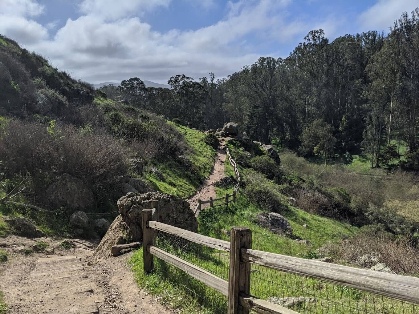 Glen Canyon Park, park, trail, walk, hiking, popular parks, hidden gems