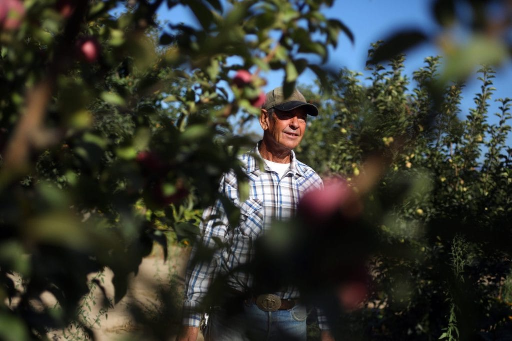 Apple Picking Day Trip San Francisco