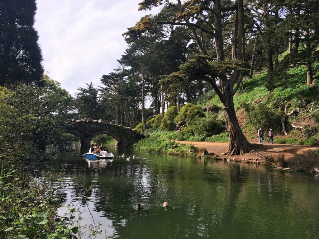Pedal Boats on Blue Heron Lake San Francisco