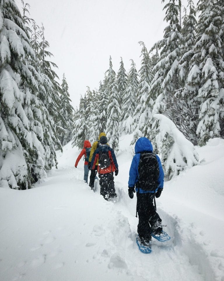 Best Snowshoeing Trails Near San Francisco
