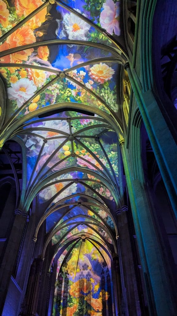 AURA: An Immersive Light Show, Things to Do