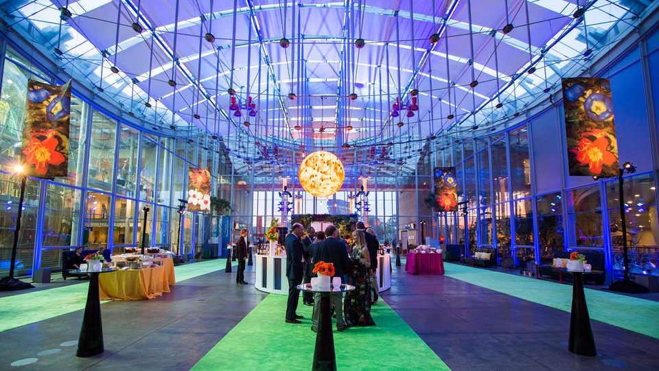 Explore Indoor Gems and Gardens