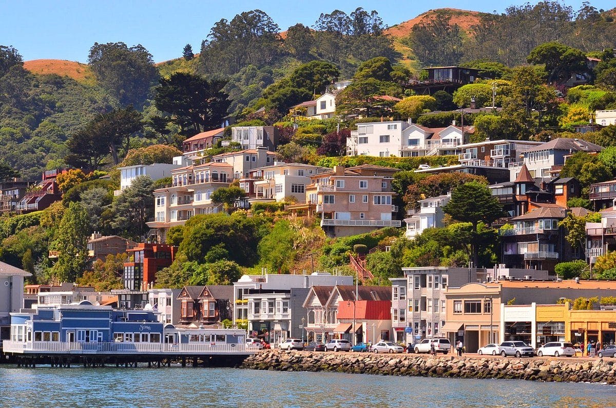 Best Things to Do in San Francisco Over Thanksgiving Weekend, Take a Day Trip to Sausalito or Muir Woods