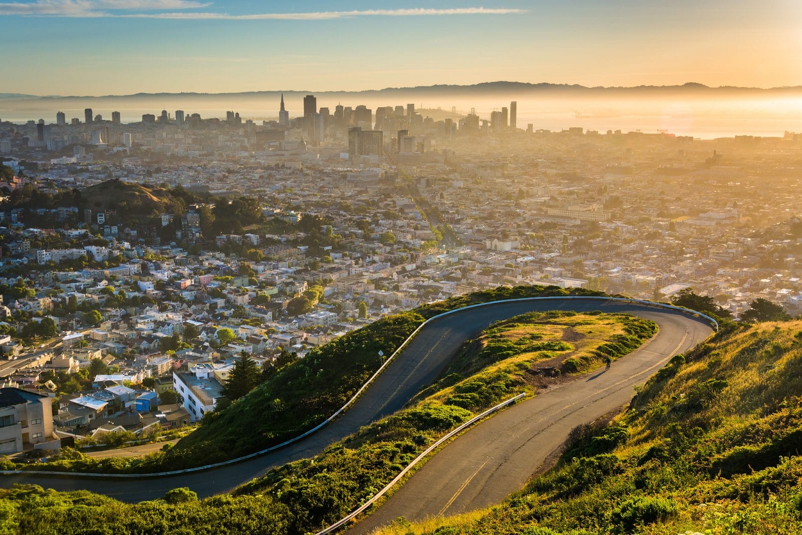 Cypress tree framing, San Francisco Bay, Golden Gate Bridge viewpoints