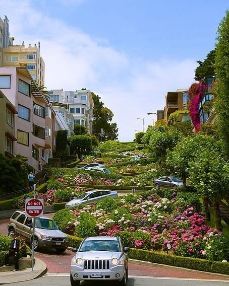 Fun Things to Do in San Francisco With Family