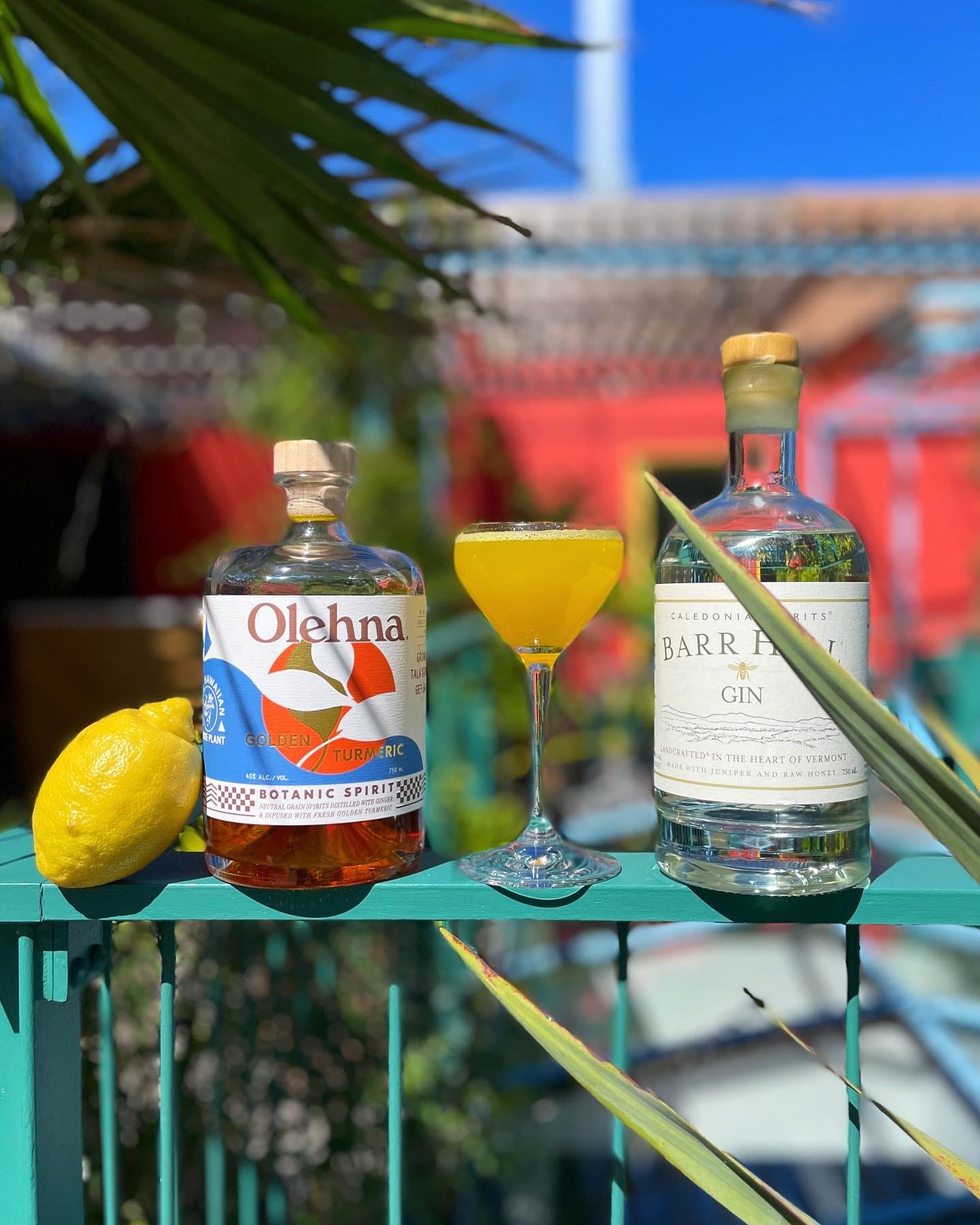 best rooftop bars in San Francisco, Good Good Culture Club
