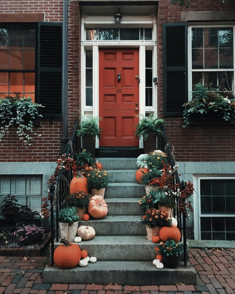 Best Things to Do in San Francisco Over Thanksgiving Weekend