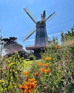 free things to do in San Francisco