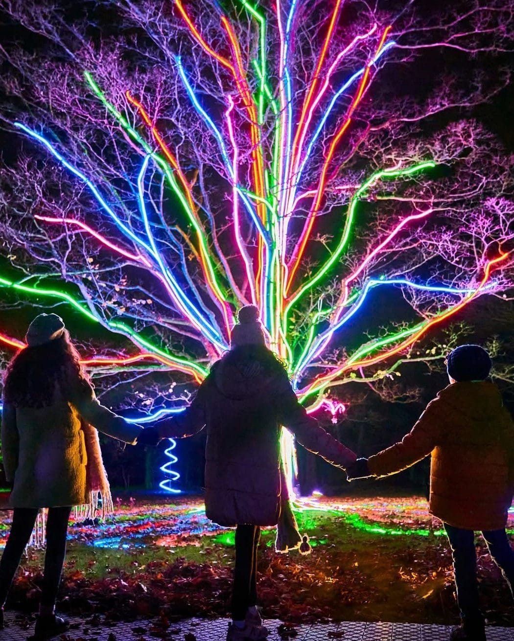 Things To Do in San Francisco This Week (December 8-14)