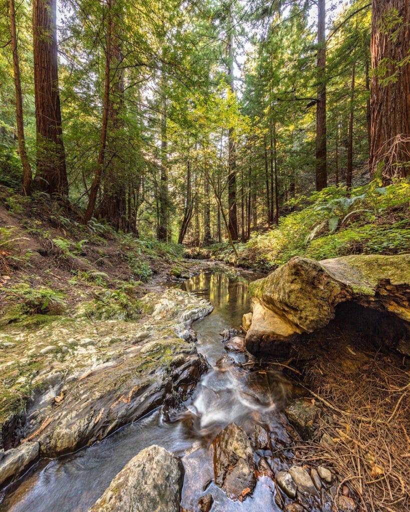 Halloween Disco Night event