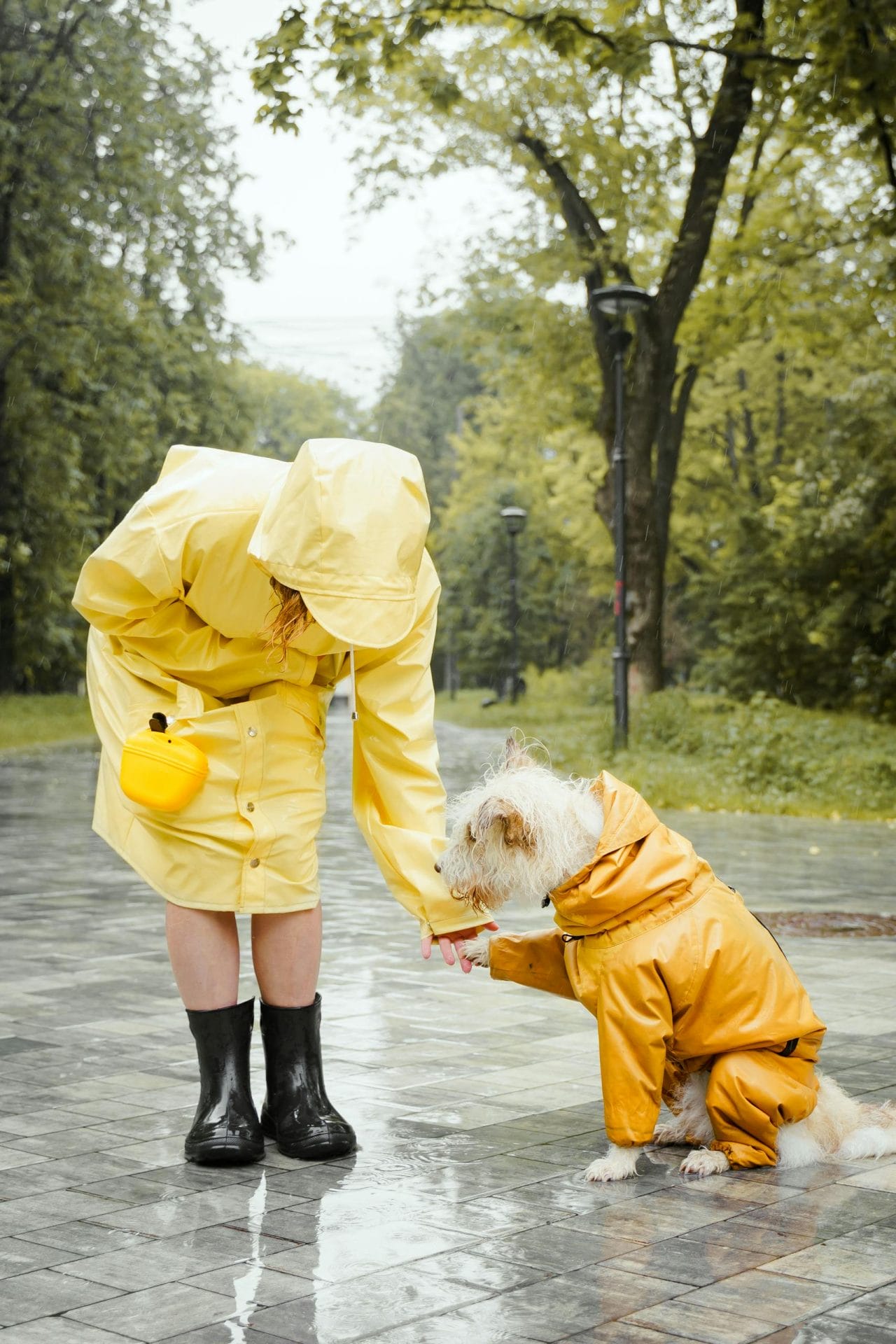 Woman and dog in matching yellow raincoats walking on a rainy day in the winters of sf 