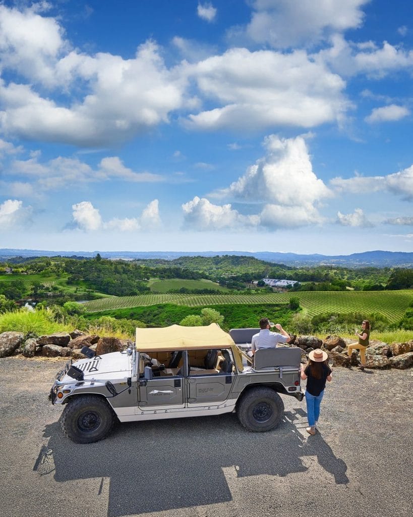 Vineyards and wine tasting experience in Napa Valley California wine country