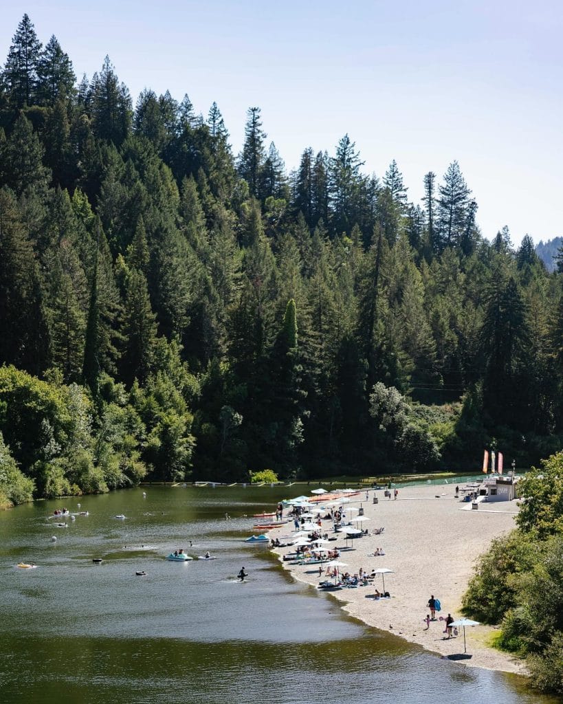Redwood forest landscape in Russian River Guerneville California