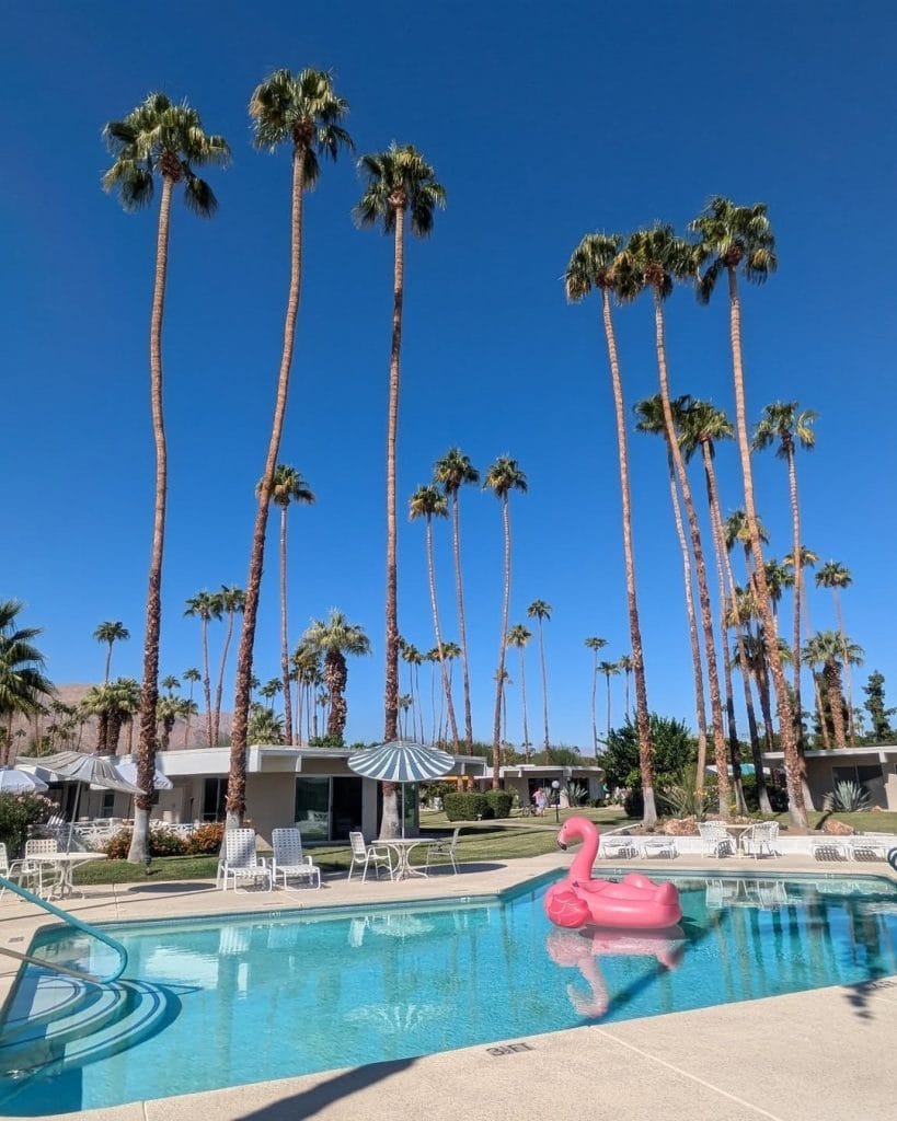 Palm trees against a clear blue sky in Palm Springs California.