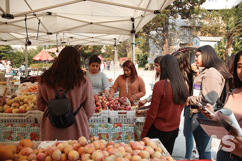 SFSU Farmers markets