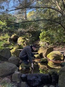 Wellness in San Francisco: Places to Unwind