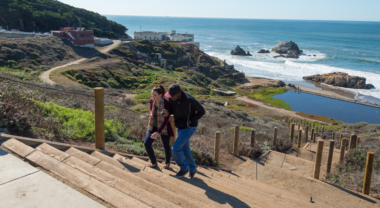 Bring your furry friend for a hike at Lands end trail