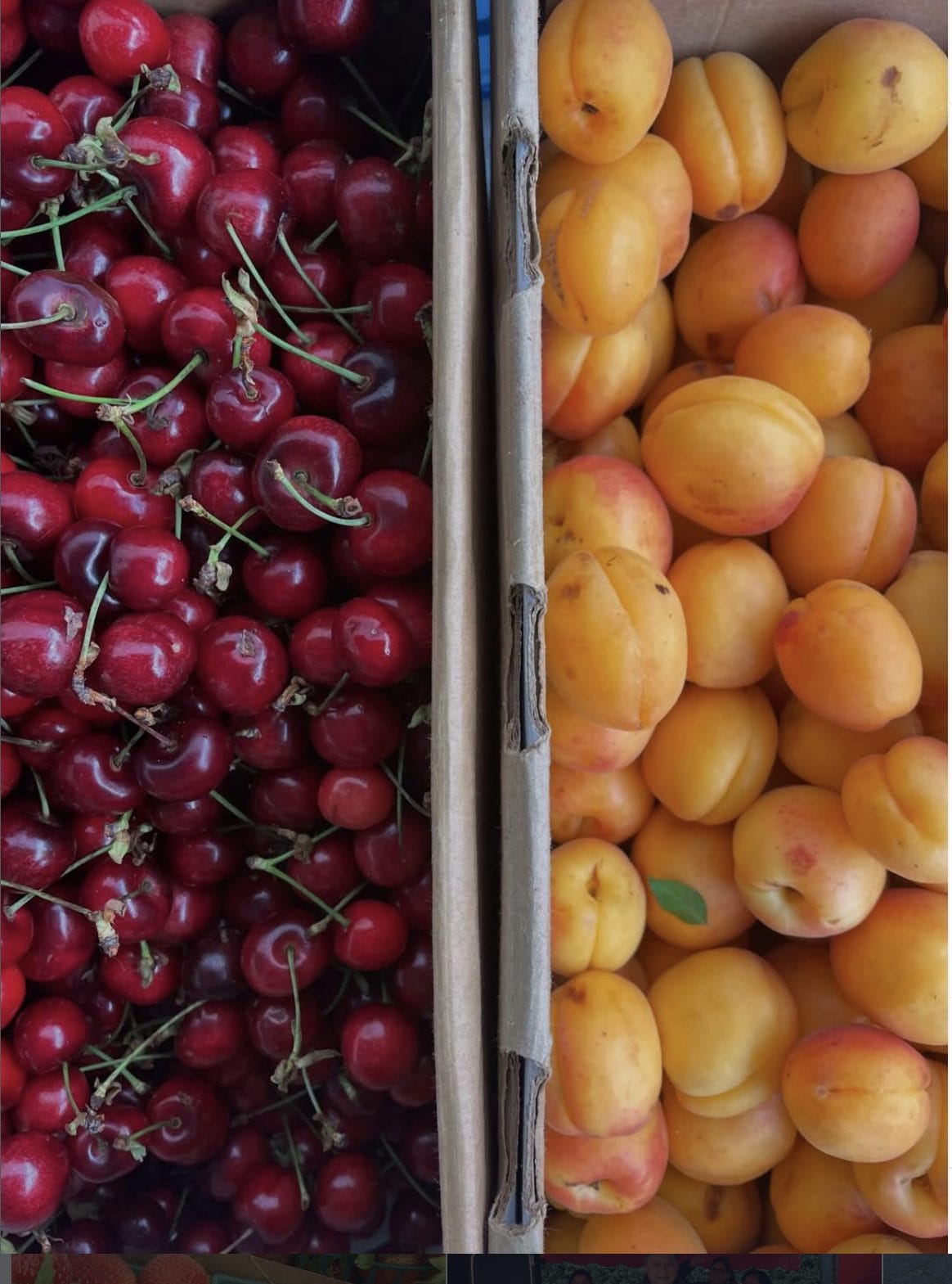 Noe Valley Farmers Markets