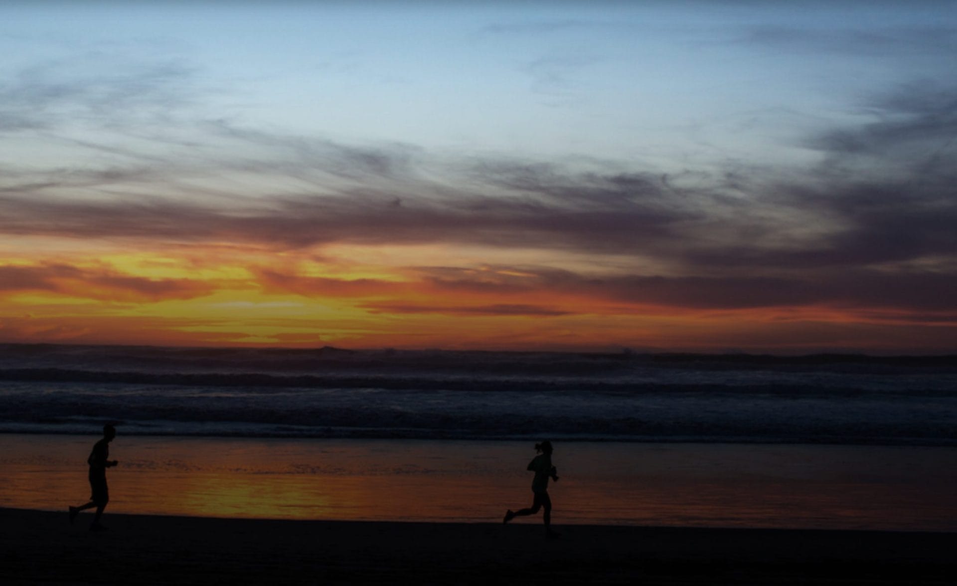 Dog-friendly Ocean beach