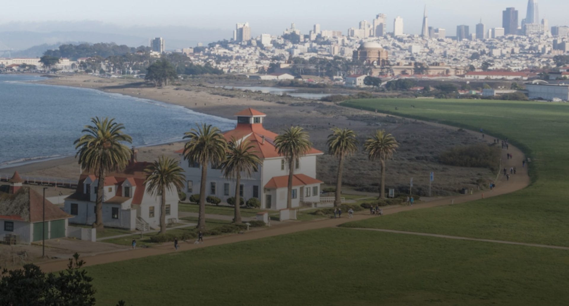 Dog-friendly park Crissy field
