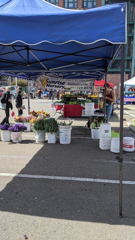 Divisadero Farmers Markets