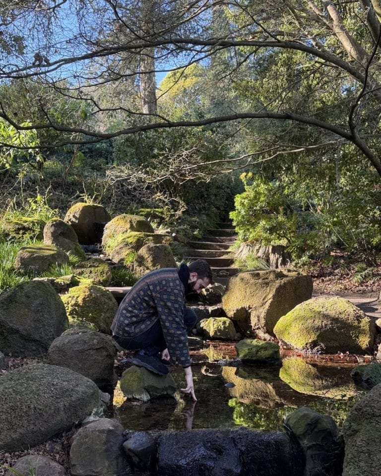 Wellness in San Francisco: The Best Spots to Slow Down in a Fast-Paced City