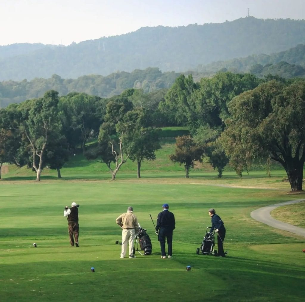 Group of golfers on a green fairway with golf bags, trees, and hills in the background.
