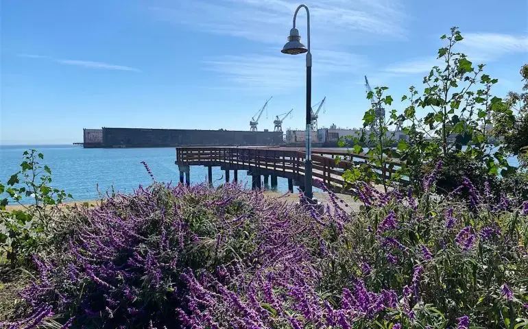 Agua Vista Fishing Spot