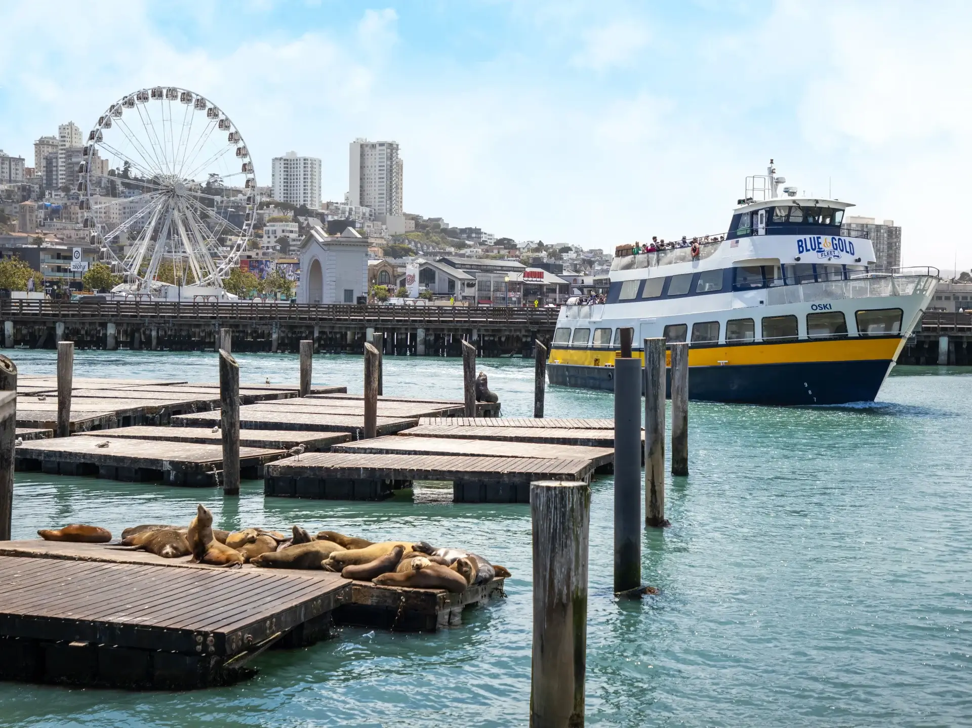 Blue & Gold Fleet