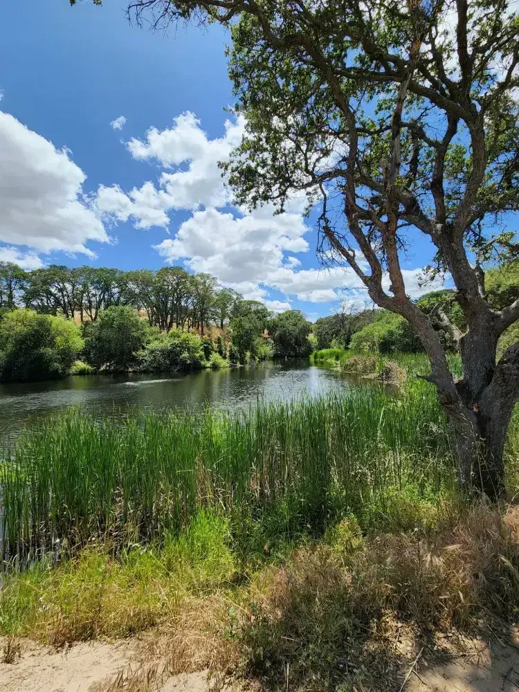 Hidden Lakes park Fishing spot