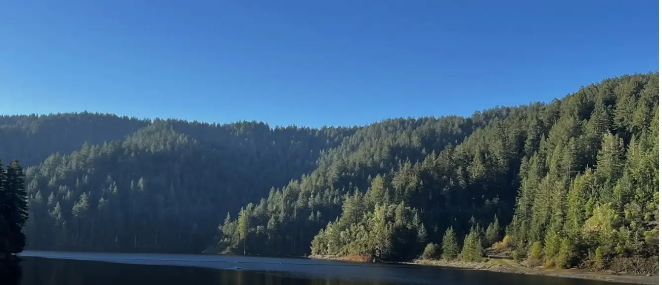 Kent Lake Fishing Spot