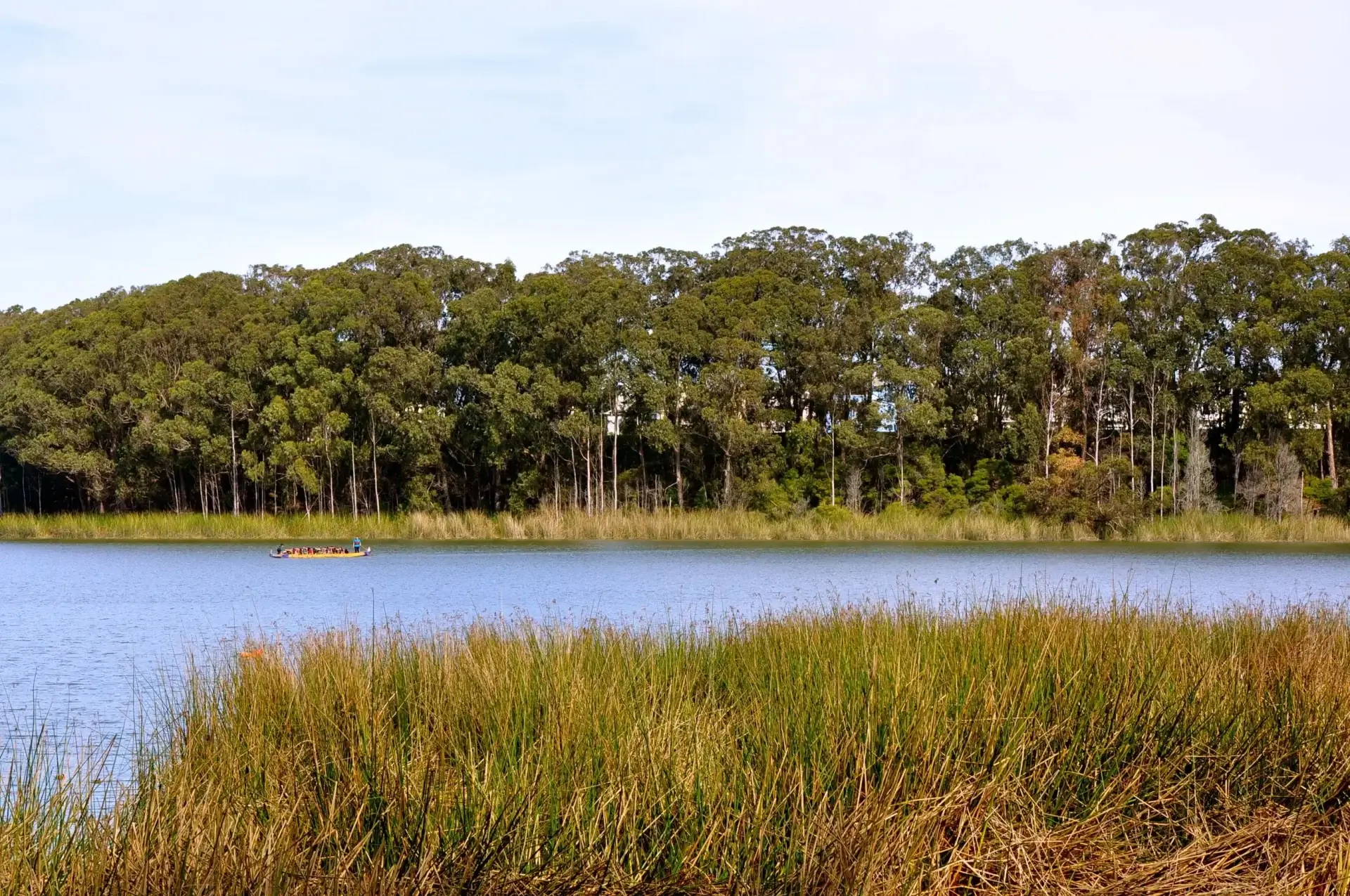Lake Merced Fishing spot
