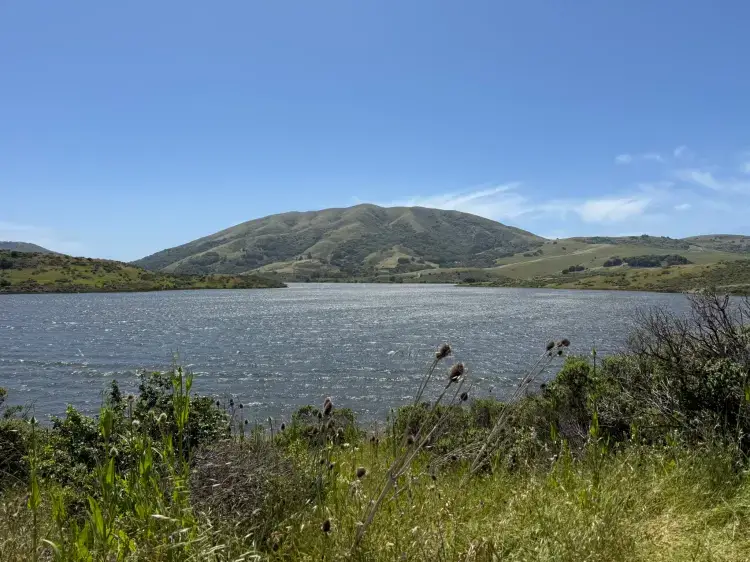 Nicasio reservoir Fishing spot