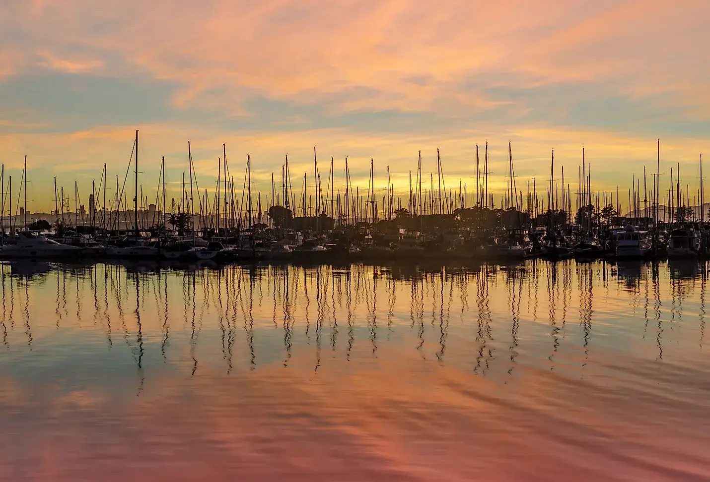 Go on a father-son trip to Alameda island