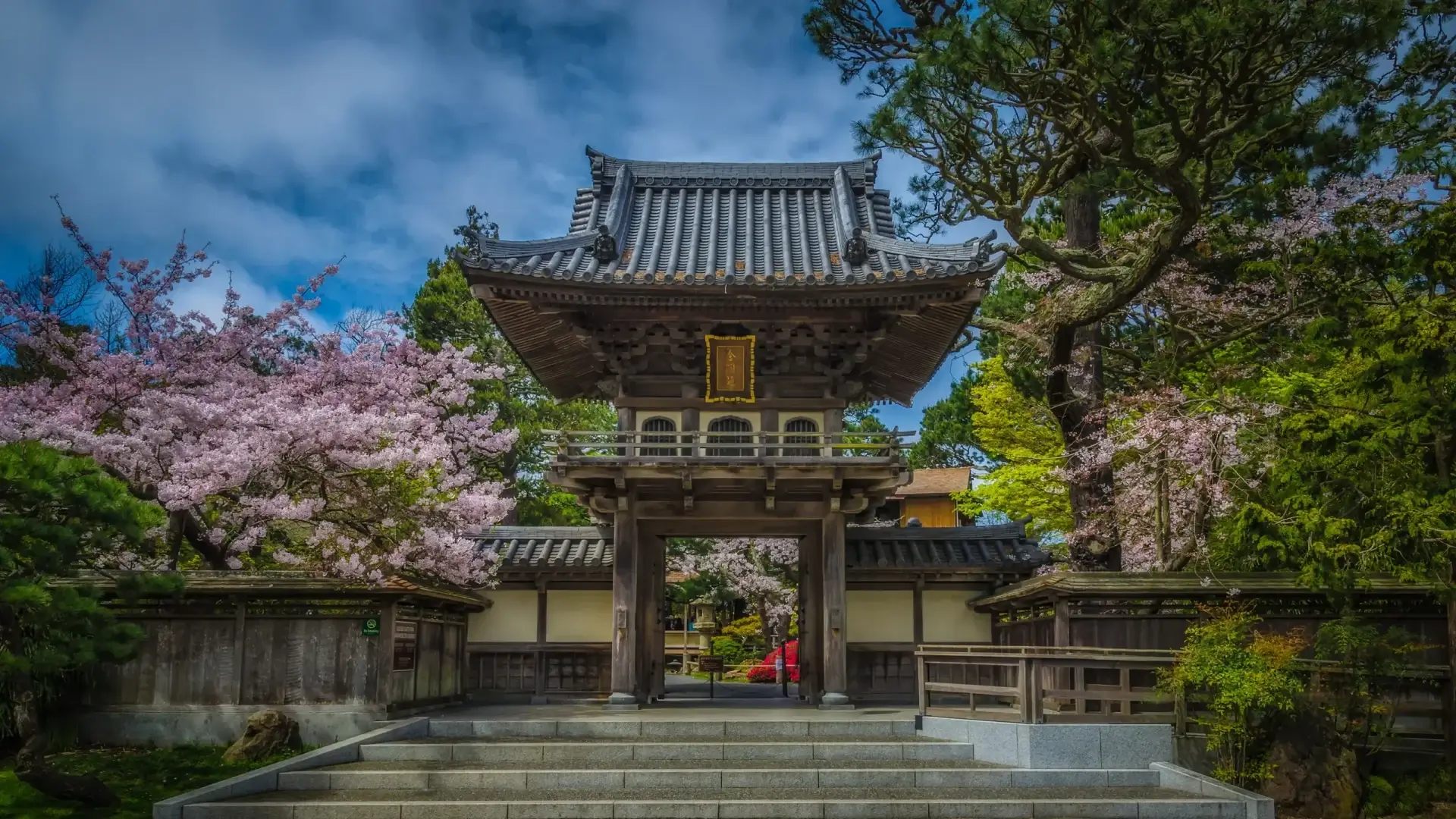 Japanese Tea Garden