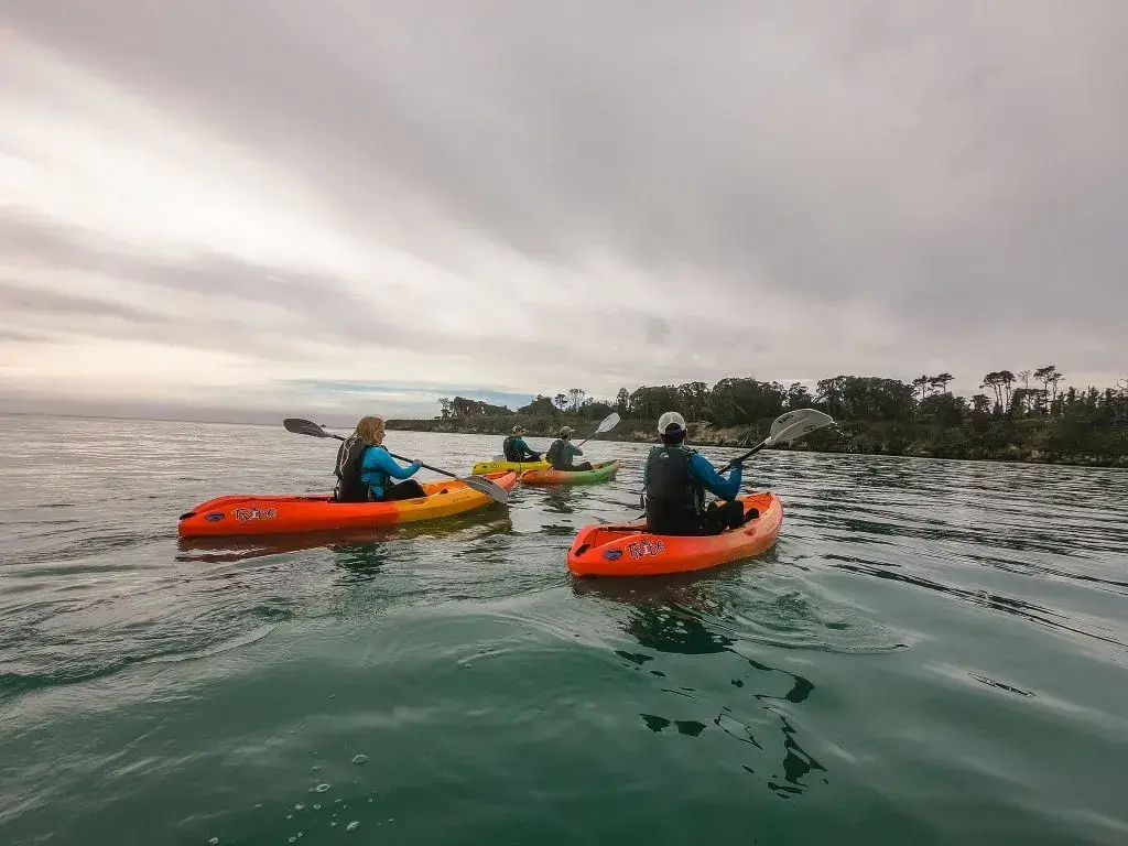 four people in orange and yellow kayaks paddling in the calm, turquiose waters of coastal bay. San Simeon