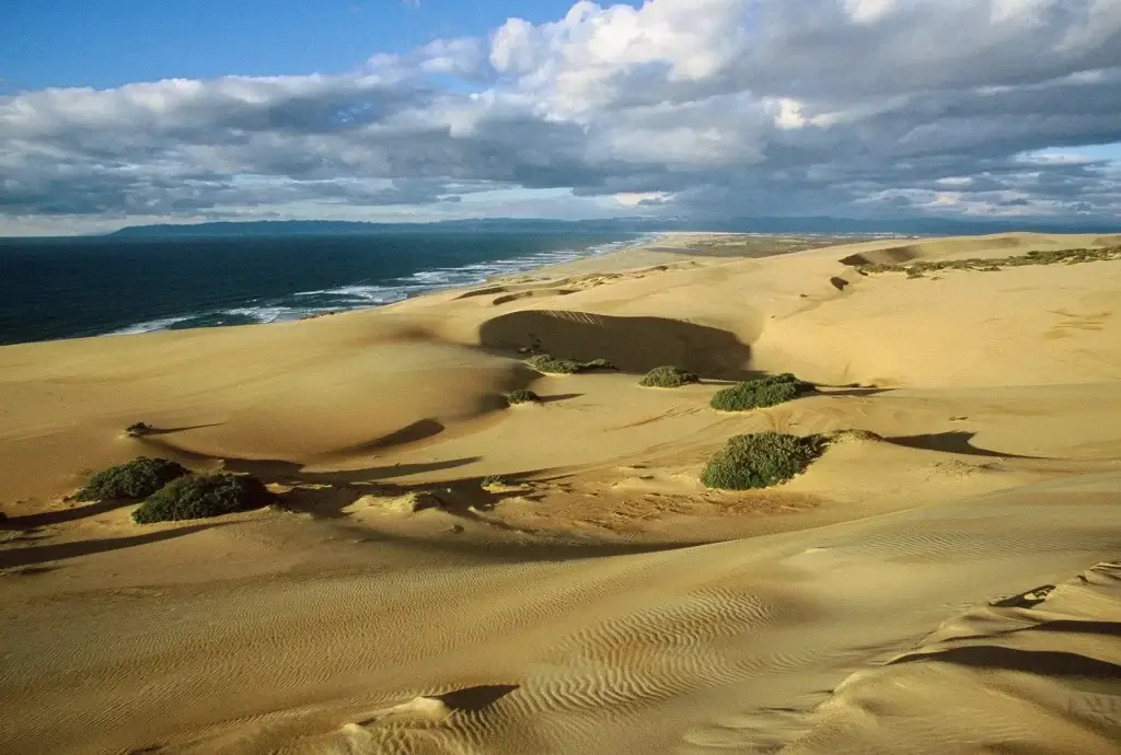 large golden sand dunes meet the deep blue Ocean under a cloudy sky in Nipomo along Highway 1