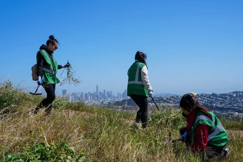 Volunteers removing weeds from a hillside park with the San Francisco skyline in the background.