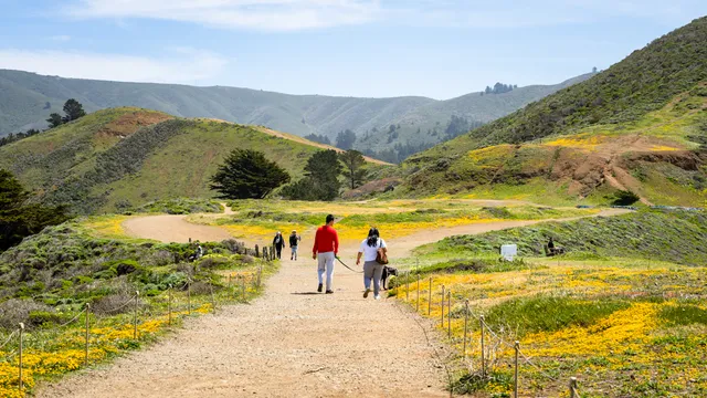 Mori Point Loop Trail hiking spot, scenic coastal views and wildflowers, hidden gems on Highway 1