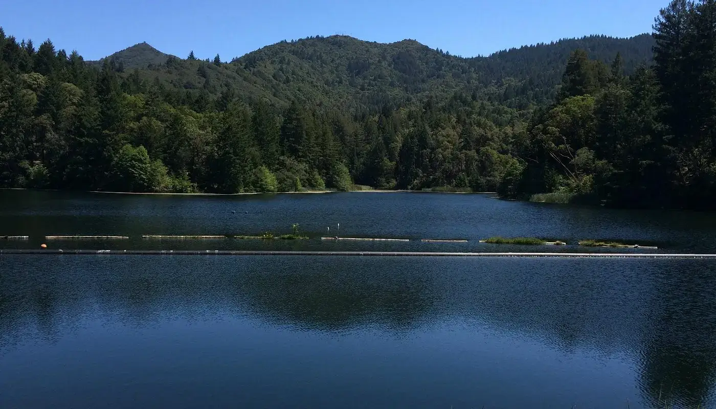 Lagunitas Lake